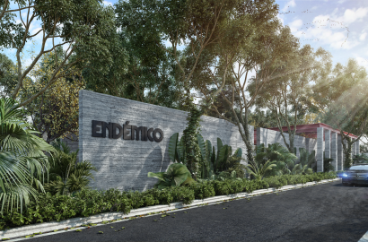 LOTE INDUSTRIAL EN ENDEMICO